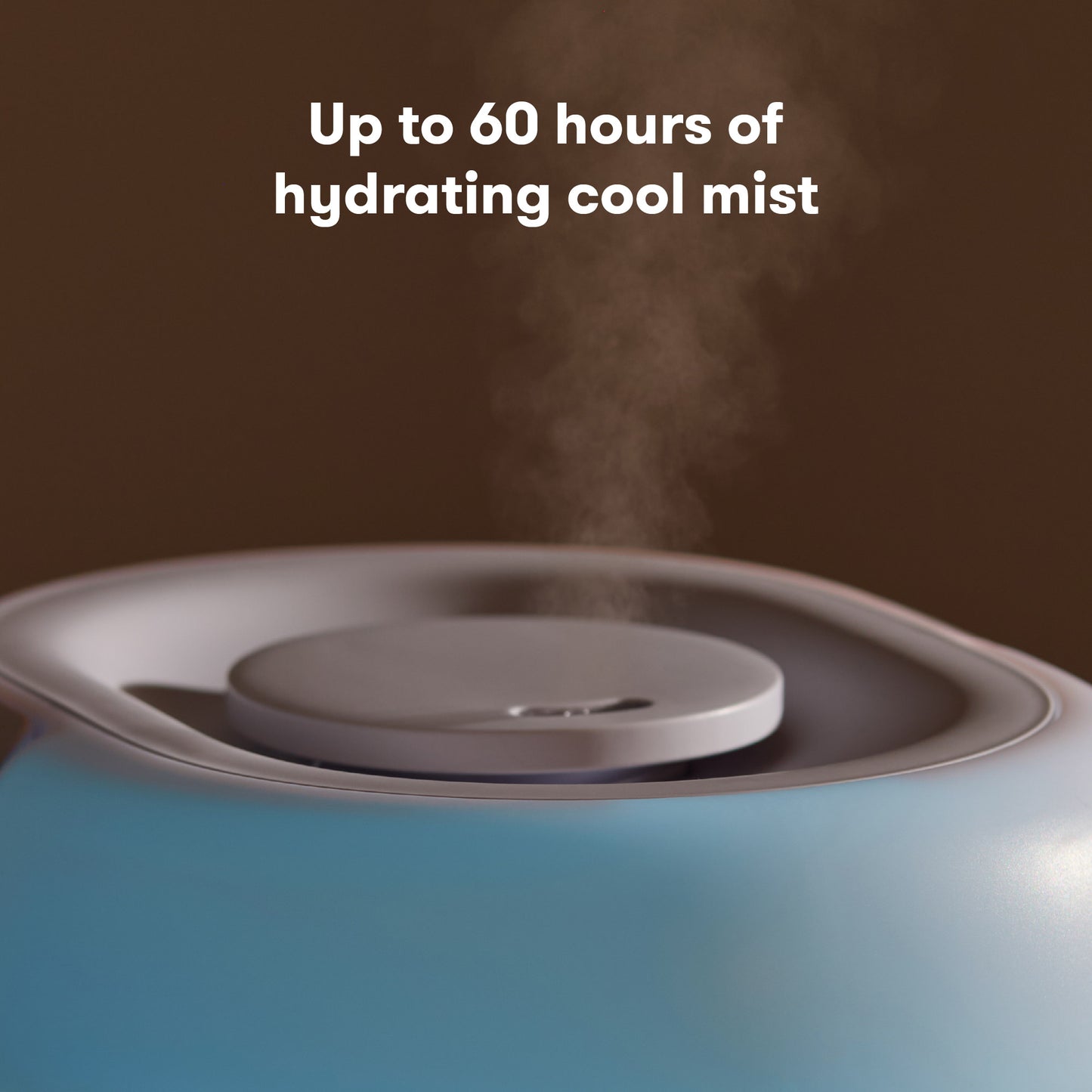 3-in-1 Humidifier