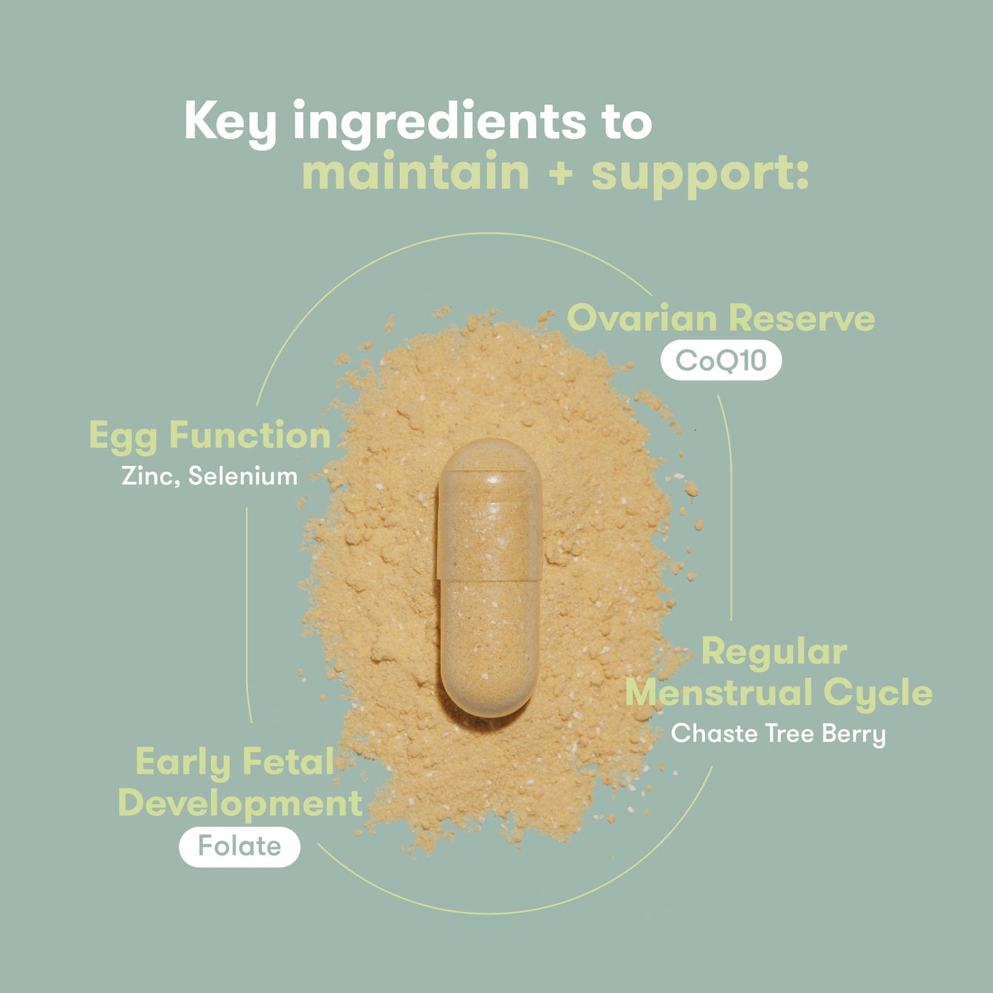 Pre-Conception Supplement Set