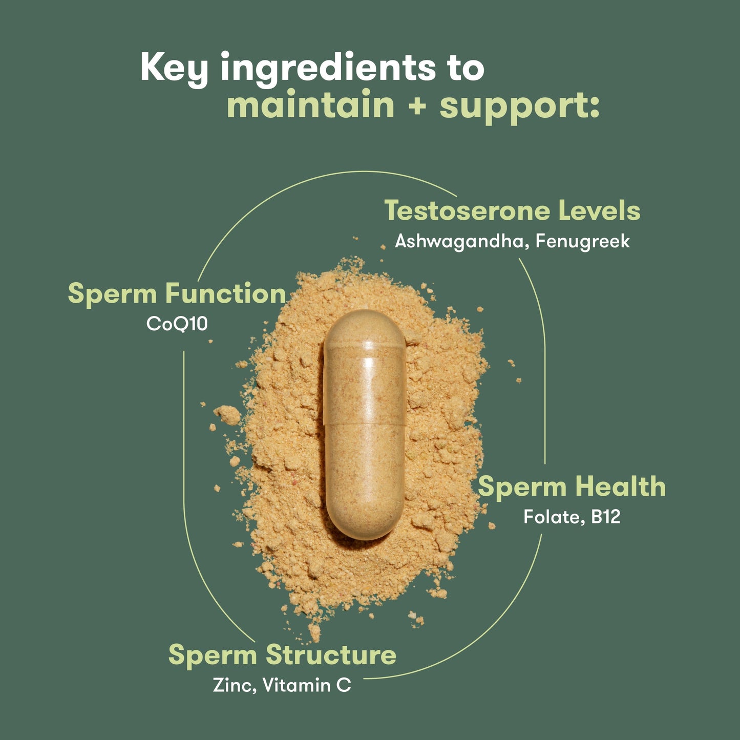 Pre-Conception Supplement Set